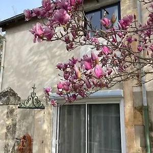 7 Rayons , Aviñón Francia